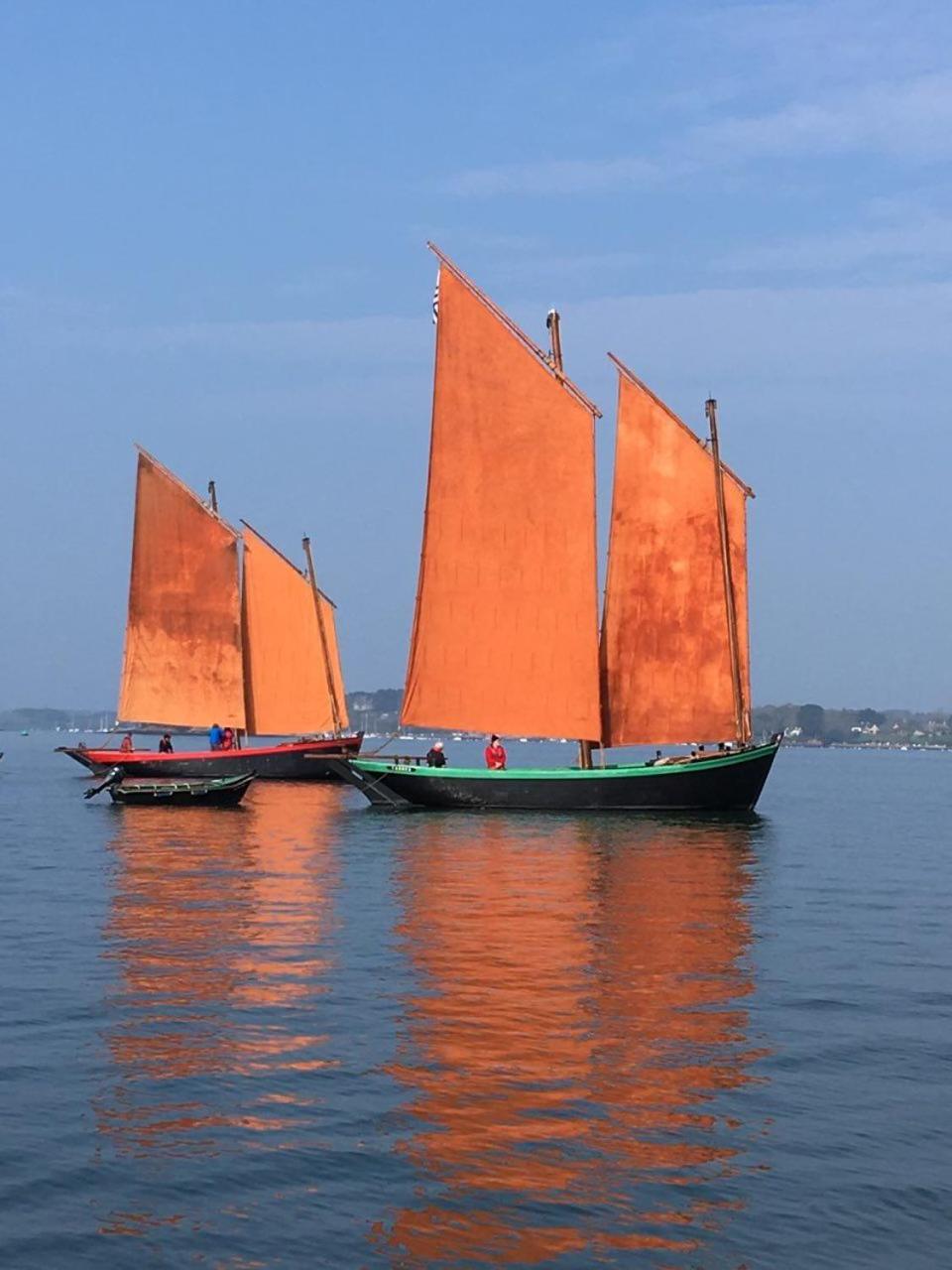 1 2 3 Chambres Entre La Presqu Ile De Rhuys Et Le Golfe Du Morbihan Theix Eksteriør billede